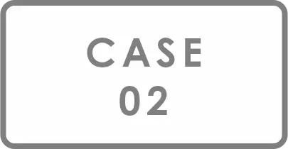CASE 02